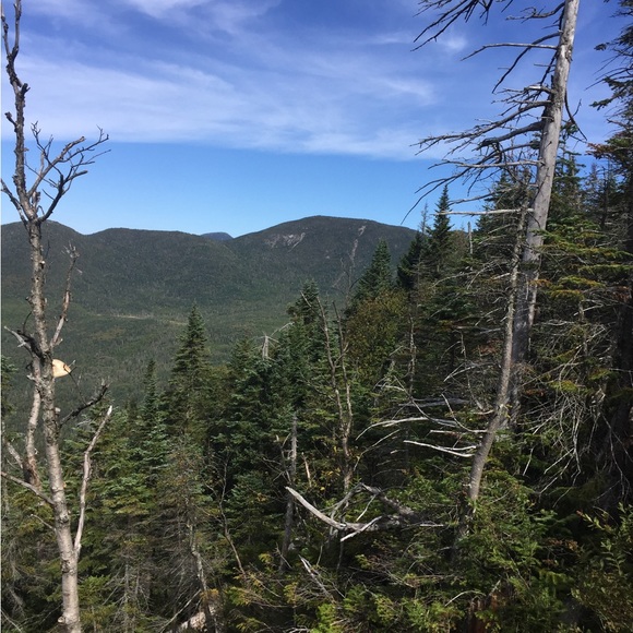 Making people laugh since 1961 - Picture 7 of 12